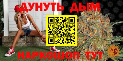 твердый Новозыбков