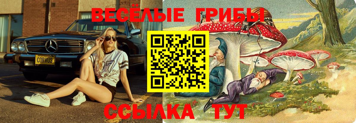 Псилоцибиновые грибы мухоморы Партизанск