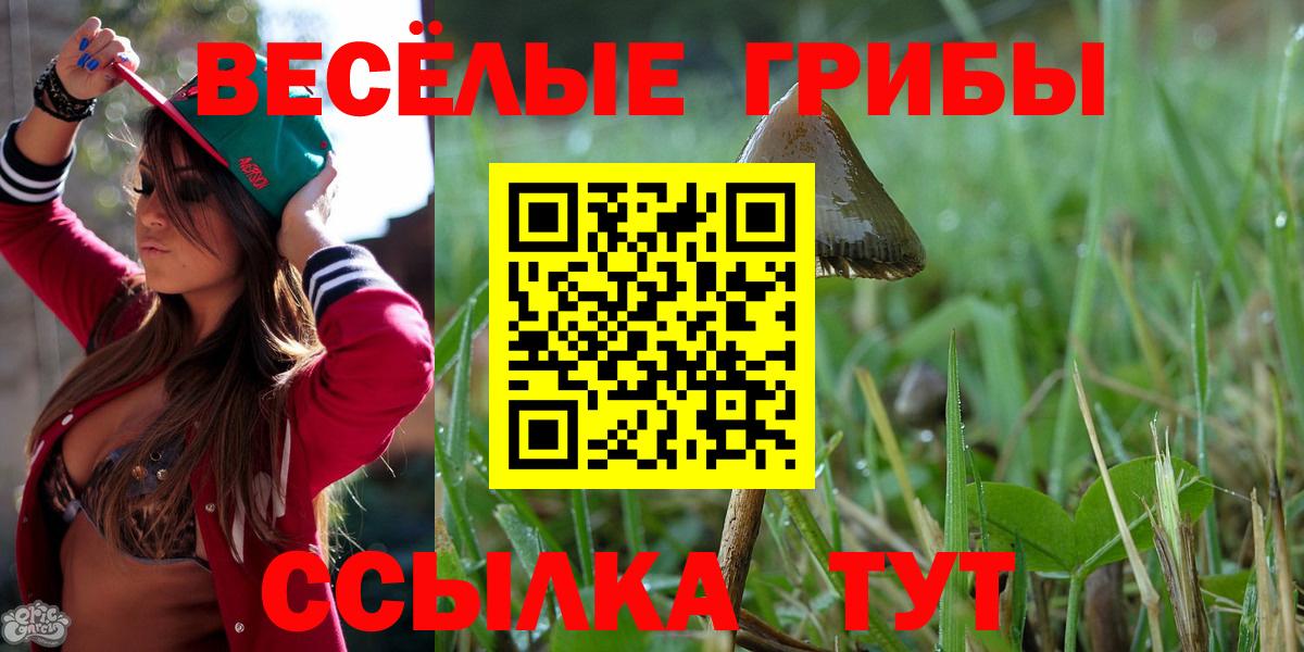 Галлюциногенные грибы Magic Shrooms  Вход с VPN  Партизанск 